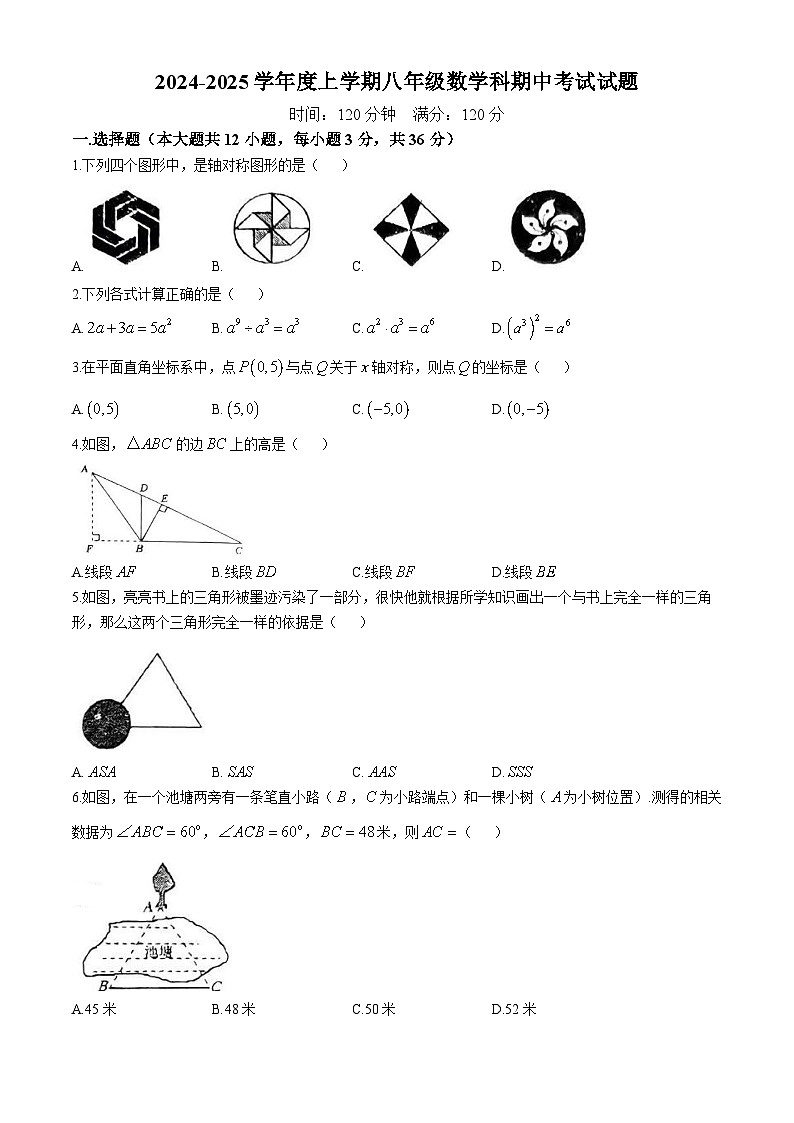 广西南宁市广西大学附属中学2024-2025学年八年级上学期数学期中考试试题(无答案)第1页