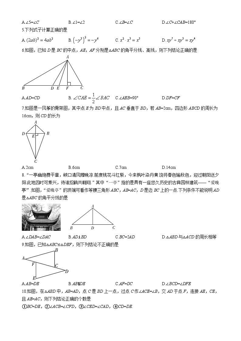 湖南省长沙市一中教育集团联考2024-2025学年八年级上学期11月期中考试数学试题第2页