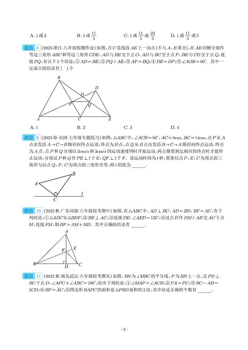 全等三角形经典压轴题型专训（学生版）第3页