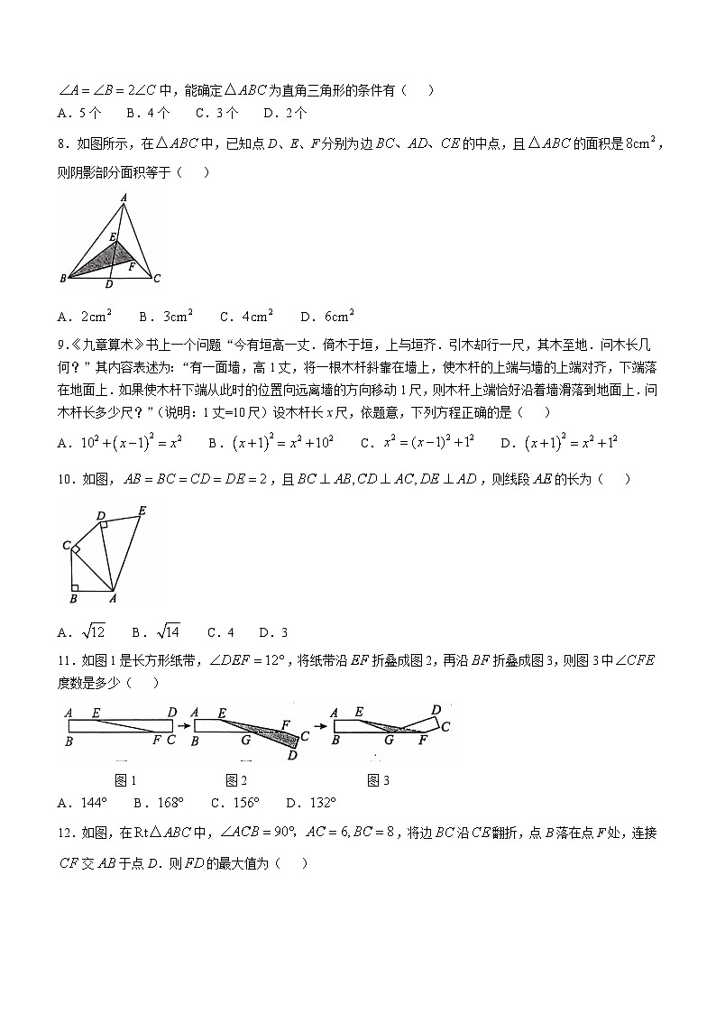 山东省泰安市肥城市2024-2025学年七年级上学期11月期中考试数学试题02