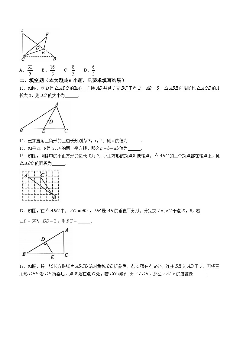 山东省泰安市肥城市2024-2025学年七年级上学期11月期中考试数学试题03