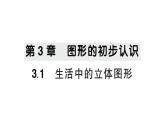初中數(shù)學(xué)新華東師大版七年級(jí)上冊(cè)3.1 生活中的立體圖形作業(yè)課件2024秋