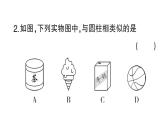初中數(shù)學(xué)新華東師大版七年級(jí)上冊(cè)3.1 生活中的立體圖形作業(yè)課件2024秋