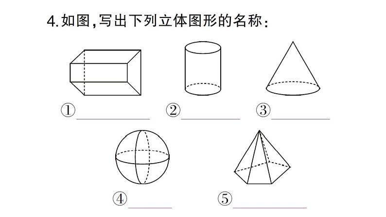 初中数学新华东师大版七年级上册3.1 生活中的立体图形作业课件2024秋第5页