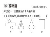 初中數(shù)學新華東師大版七年級上冊3.3 立體圖形的表面展開圖作業(yè)課件2024秋