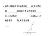初中数学新华东师大版七年级上册3.5.1 点和线作业课件2024秋