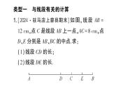 初中数学新华东师大版七年级上册期末专练四 与线段、角有关的计算作业课件2024秋