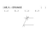 初中數(shù)學(xué)新華東師大版七年級(jí)上冊(cè)第4章 相交線和平行線綜合訓(xùn)練作業(yè)課件2024秋