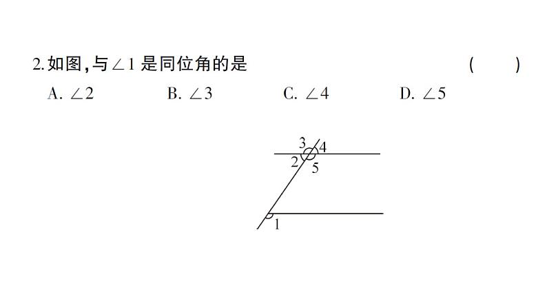 初中数学新华东师大版七年级上册第4章 相交线和平行线综合训练作业课件2024秋第3页