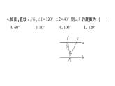初中數(shù)學(xué)新華東師大版七年級(jí)上冊(cè)第4章 相交線和平行線綜合訓(xùn)練作業(yè)課件2024秋