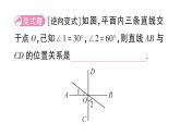 初中数学新华东师大版七年级上册4.1.2 垂线作业课件2024秋