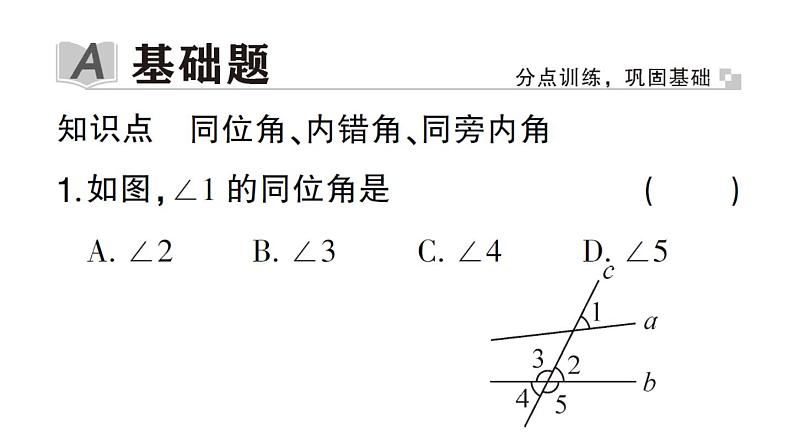 初中数学新华东师大版七年级上册4.1.3 同位角、内错角、同旁内角作业课件2024秋第2页