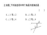 初中数学新华东师大版七年级上册4.1.3 同位角、内错角、同旁内角作业课件2024秋