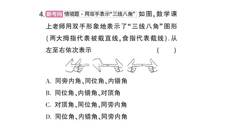 初中数学新华东师大版七年级上册4.1.3 同位角、内错角、同旁内角作业课件2024秋第5页