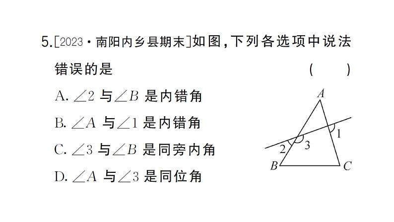 初中数学新华东师大版七年级上册4.1.3 同位角、内错角、同旁内角作业课件2024秋第6页