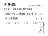 初中数学新华东师大版七年级上册4.2.3 平行线的性质作业课件2024秋