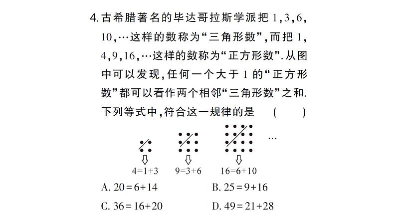 初中数学新华东师大版七年级上册期末专练六 规律探究题作业课件2024秋第5页