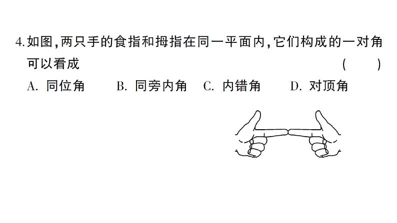 初中数学新华东师大版七年级上册期末综合检测课件（一）2024秋第4页