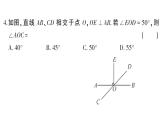 初中数学新华东师大版七年级上册期末综合检测课件（三）2024秋