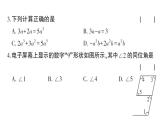 初中数学新华东师大版七年级上册期末综合检测课件（二）2024秋