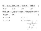 初中数学新华东师大版七年级上册期末综合检测课件（二）2024秋