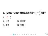 2024统编版数学七年级第一章有理数 1.2.1　有理数的概念习题课件ppt