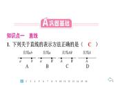 2024统编版数学七年级第六章几何图形初步6.2.1　直线、射线、线段习题课件ppt