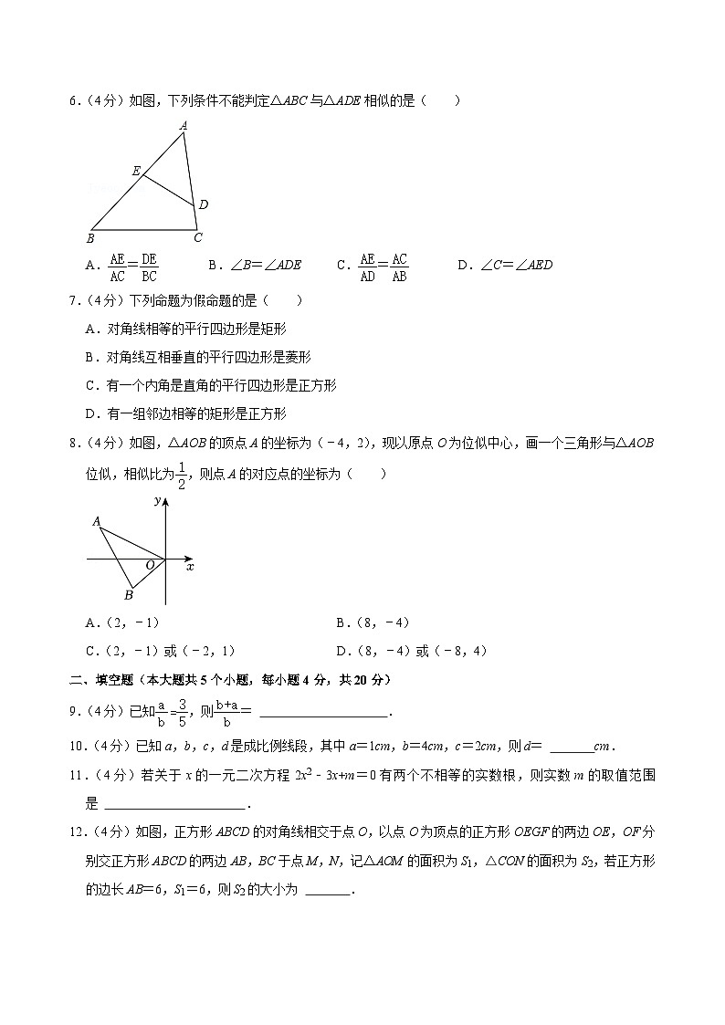 四川省成都市青羊区树德中学光华校区2024-2025学年上学期九年级期中数学试卷第2页