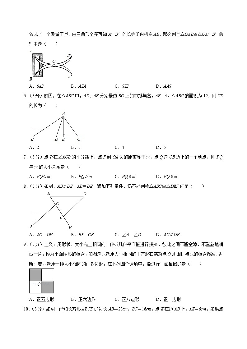 广东省广州市海珠区第五中学2024—2025学年上学期八年级数学期中考试试卷02
