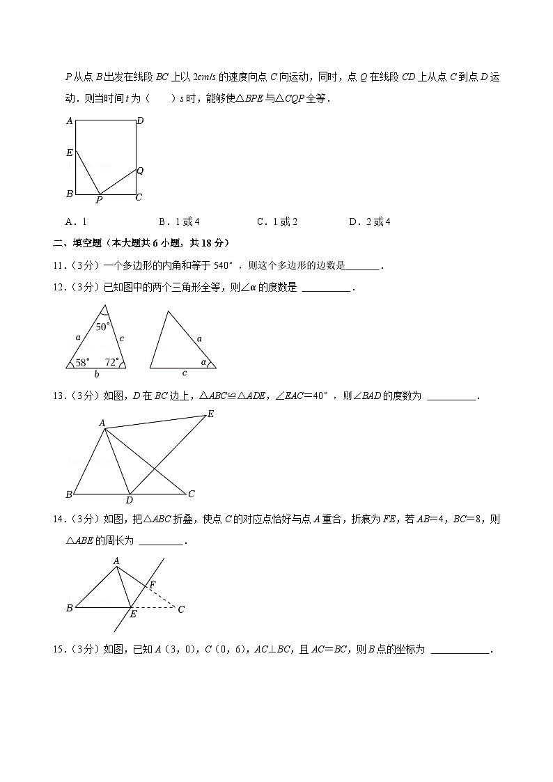 广东省广州市海珠区第五中学2024—2025学年上学期八年级数学期中考试试卷03