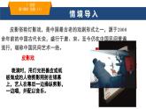 4.1投影-课件 2024—2025学年鲁教版（五四制）数学九年级上册