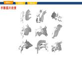 4.1投影-课件 2024—2025学年鲁教版（五四制）数学九年级上册