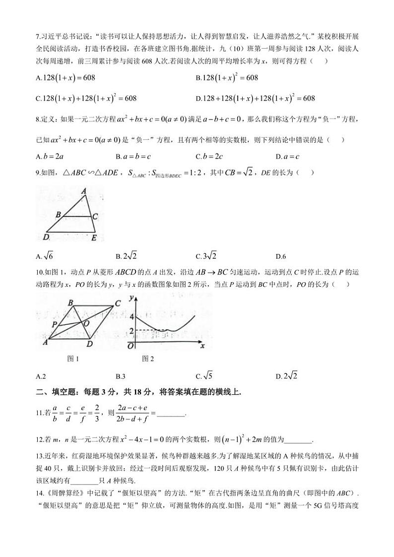 2024～2025学年山东省枣庄市滕州市九年级(上)期中数学试卷(含答案)第2页