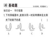 初中數(shù)學(xué)新華東師大版七年級上冊3.2.1第1課時(shí)  投影作業(yè)課件2024秋