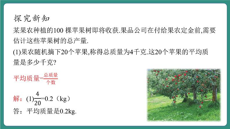 【新课标大单元】浙教版数学八年级下册3.1平均数 课件＋教案＋大单元整体教学设计06