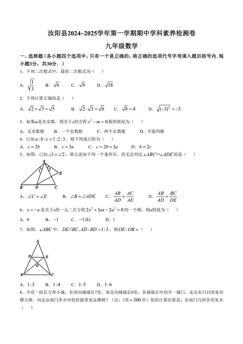 2024～2025学年河南省洛阳市汝阳县九年级(上)期中学科素养检测卷数学试卷(含答案)第1页