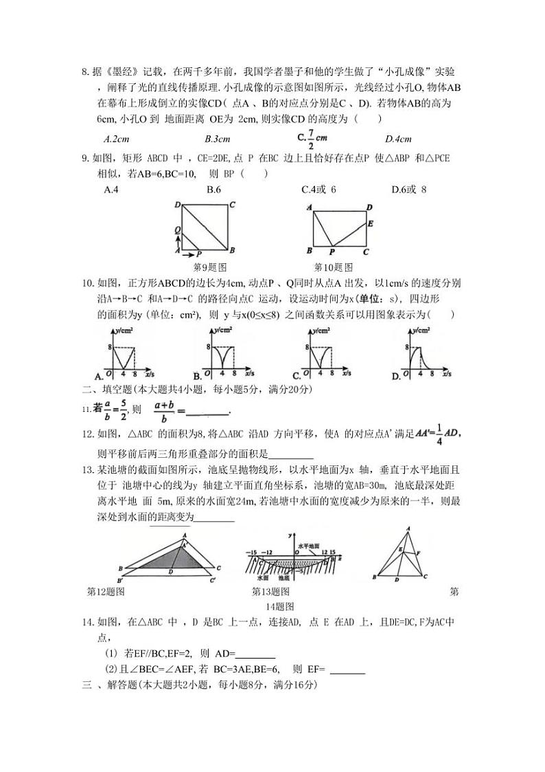 安徽省淮北市部分学校联考2024～2025学年九年级(上)期中数学试卷(含答案)第2页