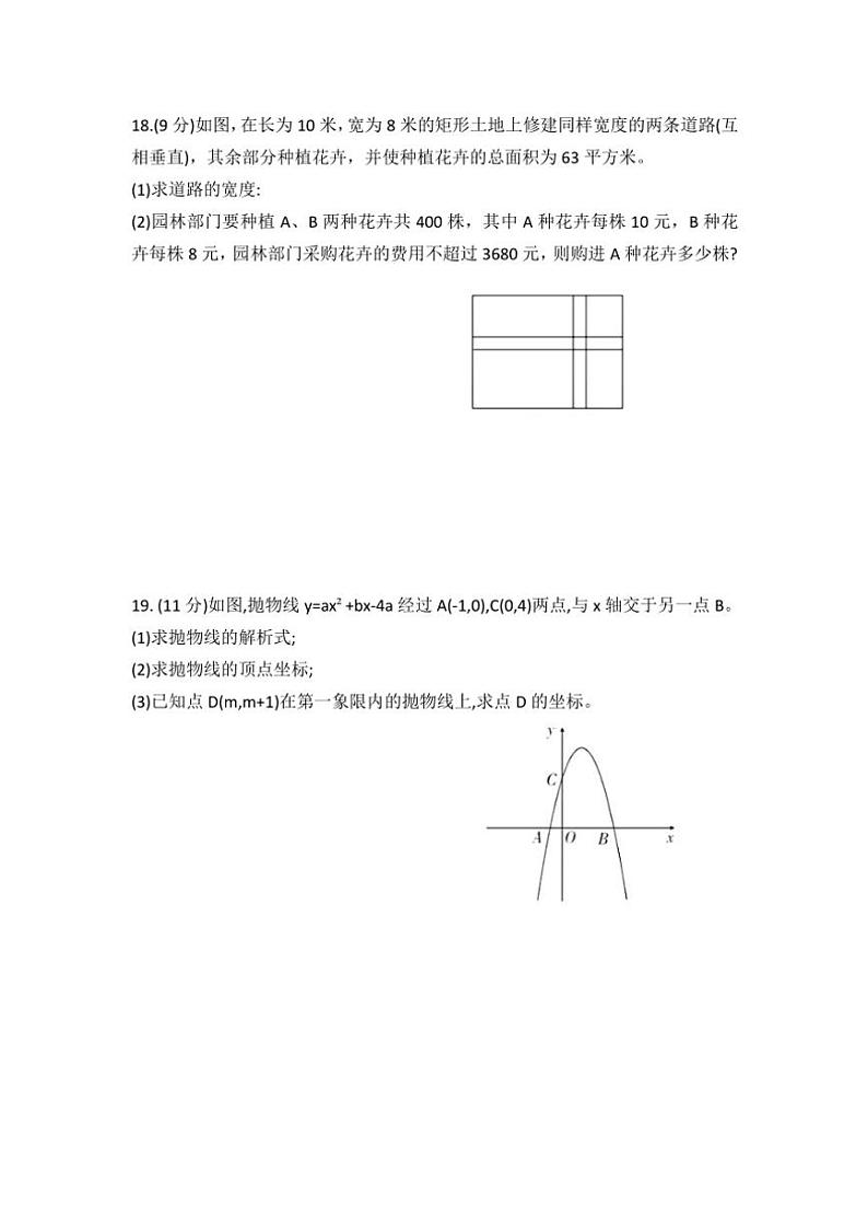 河南省周口市第一初级中学2024～2025学年九年级(上)第一次综合测试月考数学试卷(含简略答案)第3页