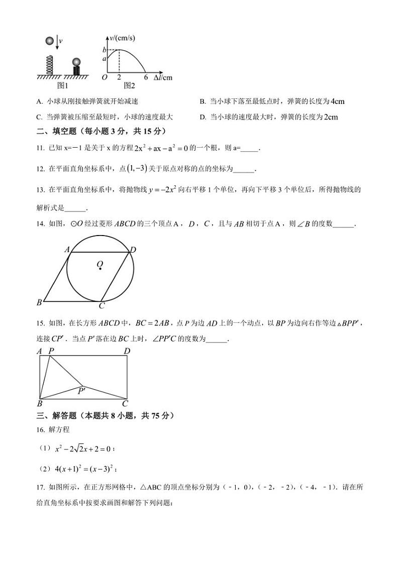 河南省漯河市郾城区2024～2025学年九年级(上)期中数学试卷(含答案)第3页