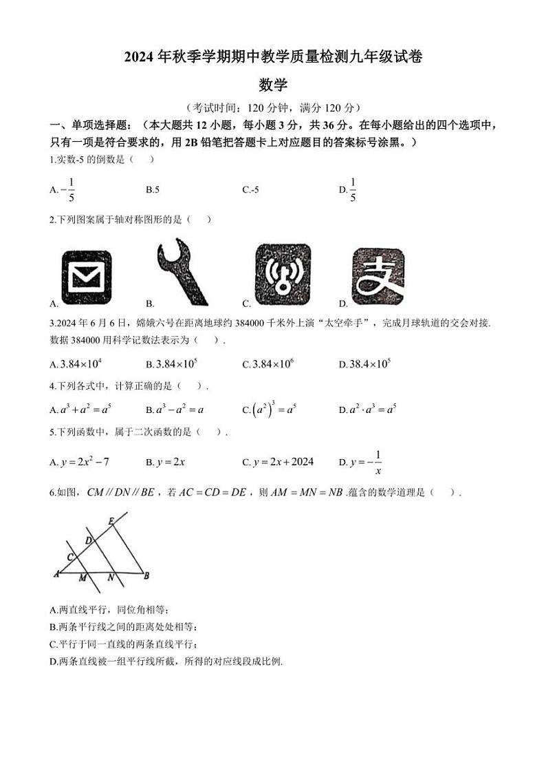 广西壮族自治区贺州市昭平县2024～2025学年九年级(上)期中数学试卷(含答案)01