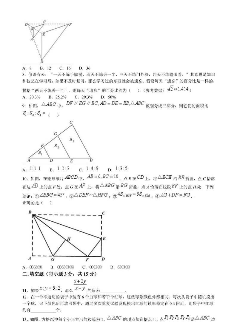 河南省郑州市外国语中学2024——2025学年九年级(上)期中数学试卷(含答案)第2页