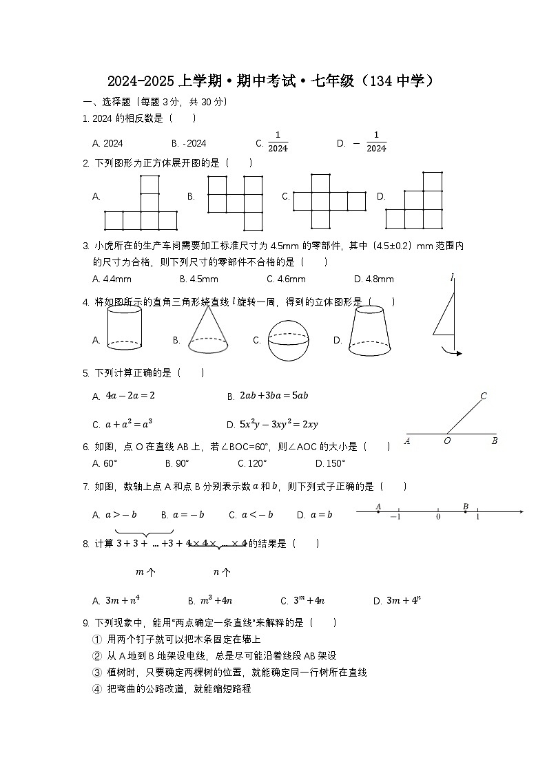 辽宁省沈阳市第一三四中学2024-2025学年上学期 七年级期中考试数学试题第1页