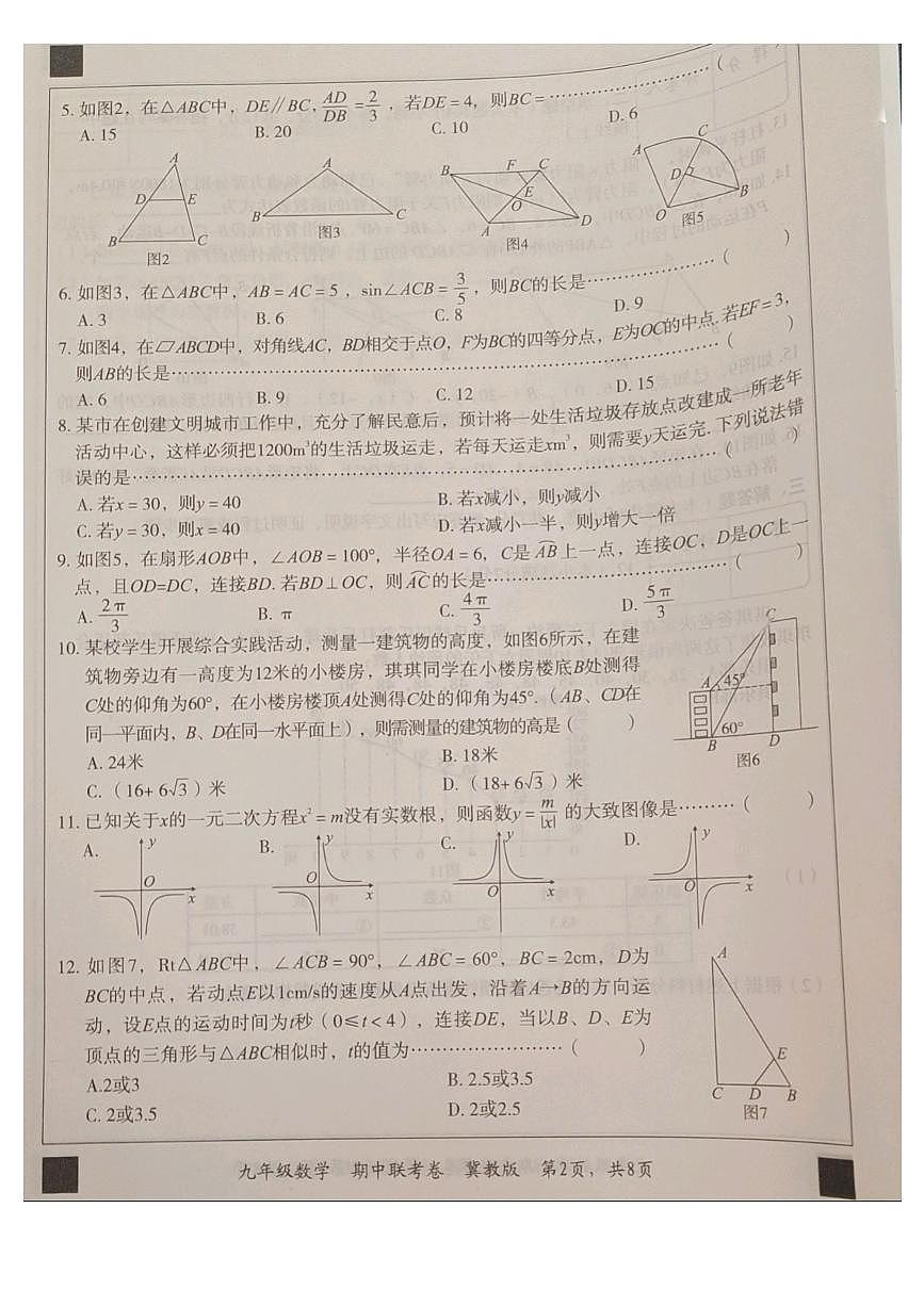 河北沧州市沧县2024—2025学年上学期九年级期中数学试卷+第2页