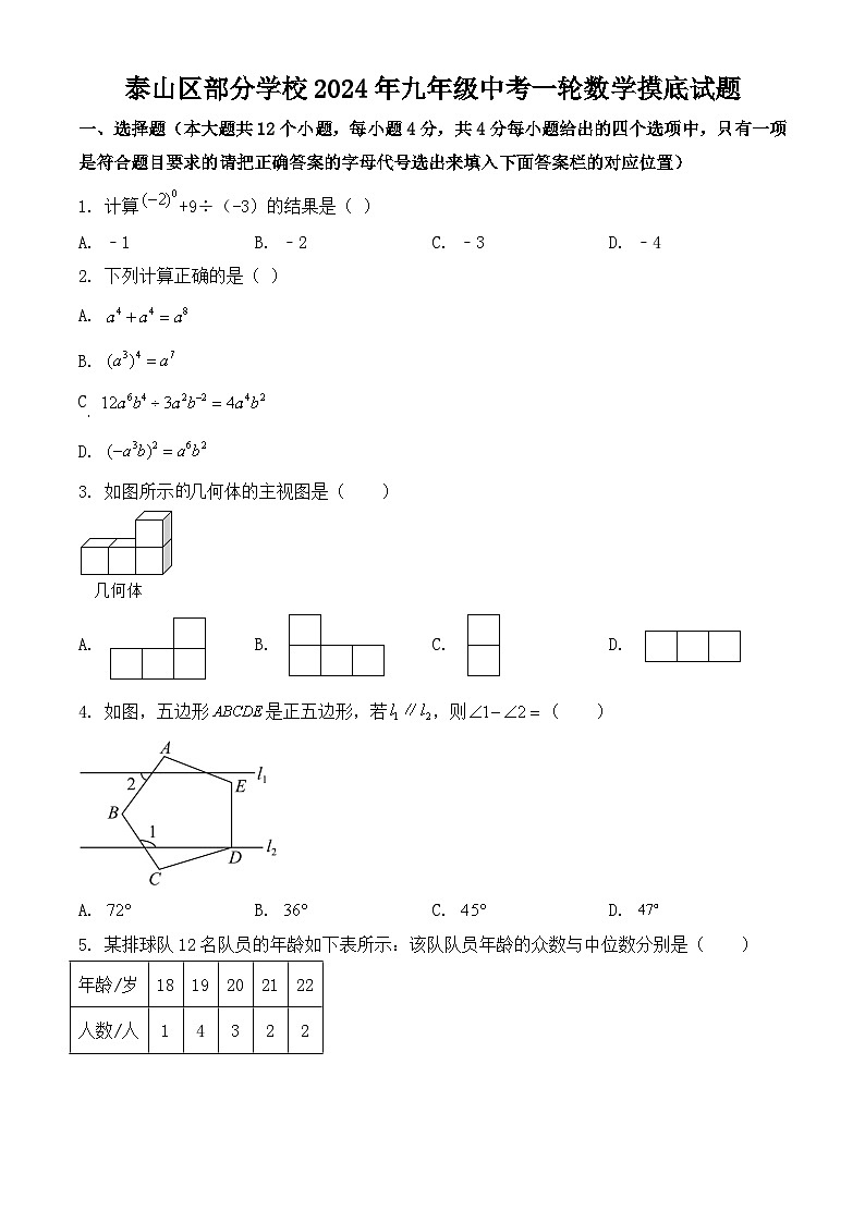 山东省泰安市泰山区部分学校2024年九年级中考一轮数学摸底试题第1页