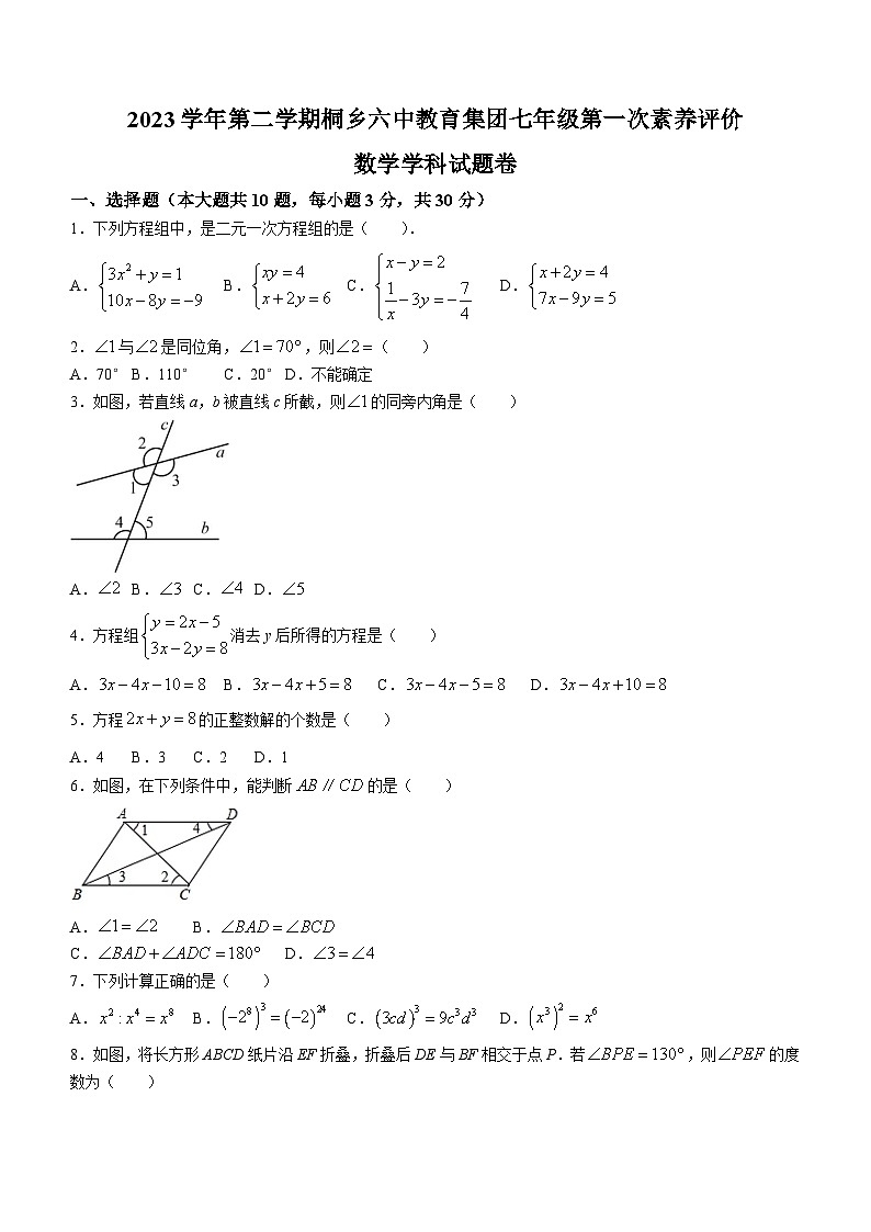 浙江省嘉兴市桐乡市2023-2024学年七年级下学期素养评价3月月考数学试题(无答案)第1页