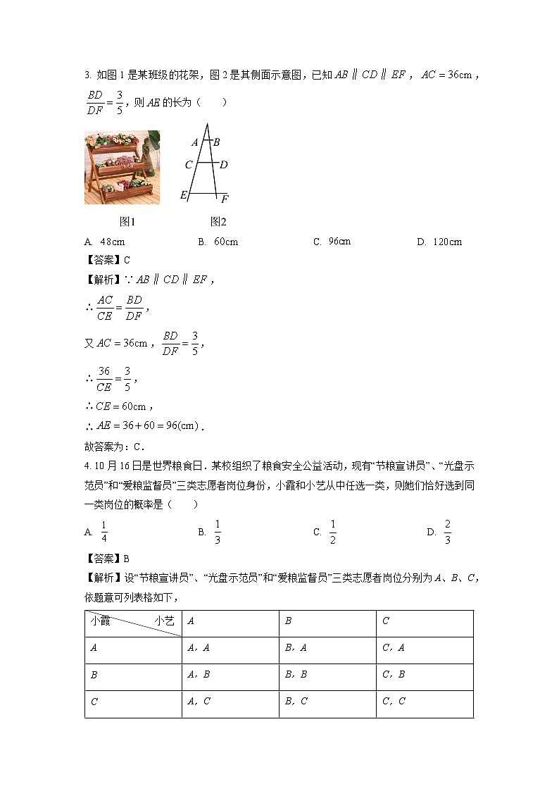 2024-2025学年山东省济南市历下区九年级(上)11月期中 数学试卷第2页