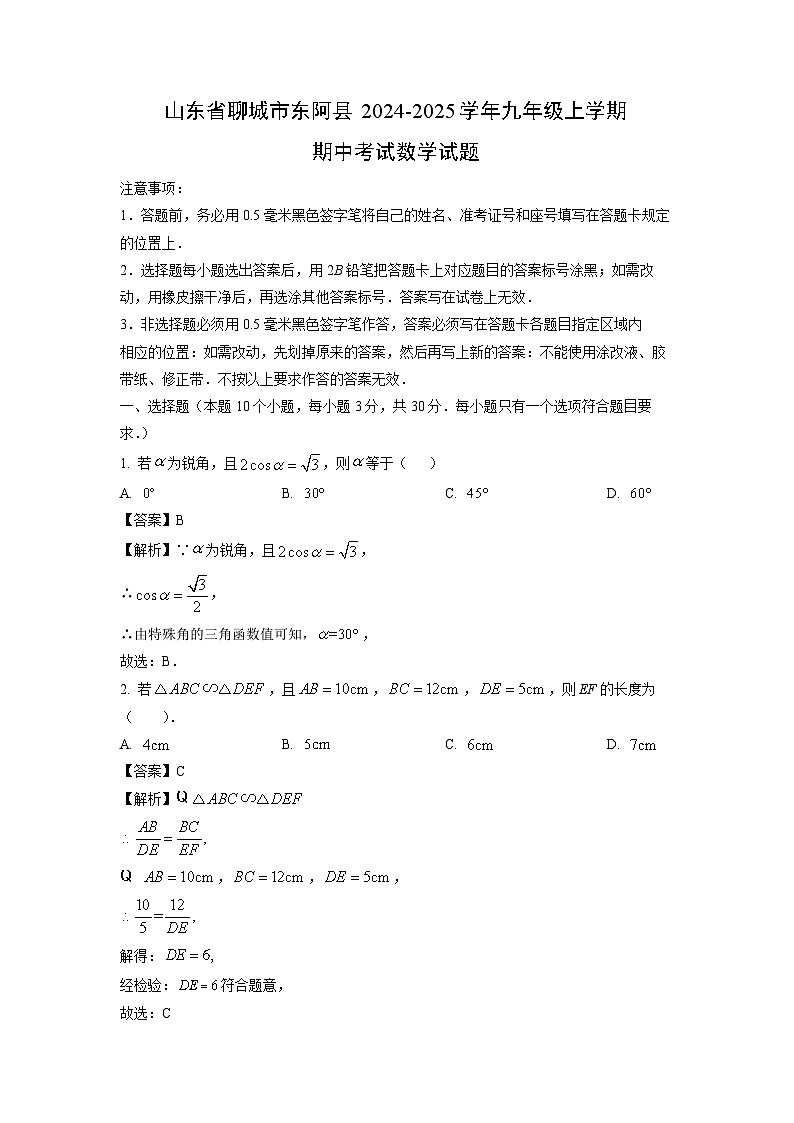 2024-2025学年山东省聊城市东阿县九年级(上)期中 数学试卷(解析版)01