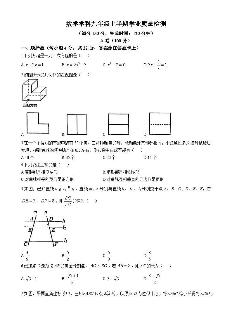 四川省成都市第四十九中学校2024-2025学年上学期期中考试九年级数学试题(无答案)第1页