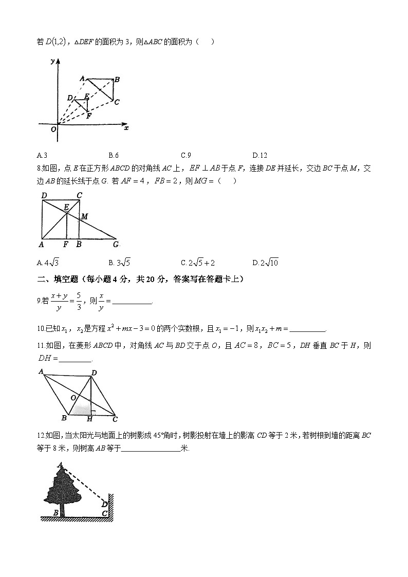 四川省成都市第四十九中学校2024-2025学年上学期期中考试九年级数学试题(无答案)第2页