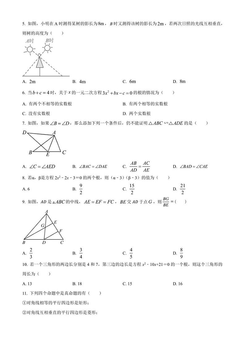 河北省保定市第十三中学2024—2025学年九年级(上)期中检测数学试卷(含答案)第2页